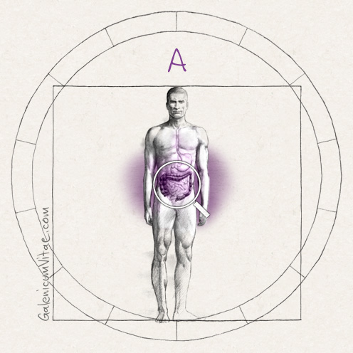 Cáncer de colon y recto y sus causas