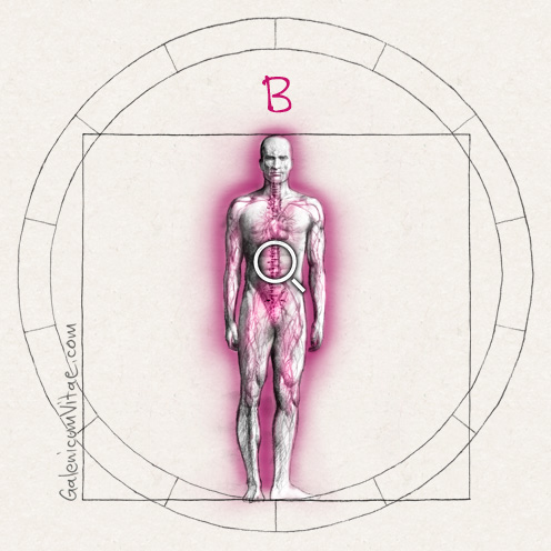 Leucemia y sus causas