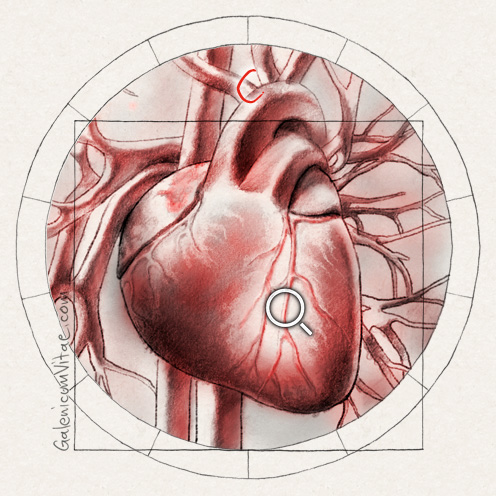 Enfermedades del corazón y sus causas