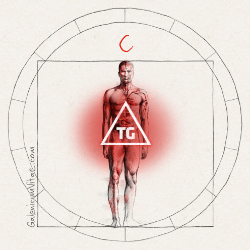 Hypertriglyceridemia y sus causas