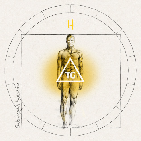 Hipertrigliceridemia y sus causas