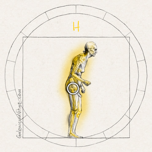 Osteoporosis y sus causas