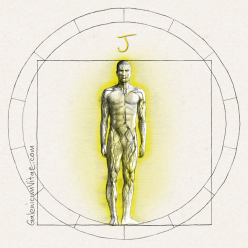 Immunodeficiencies y sus causas