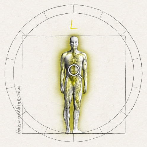 Leucemia y sus causas