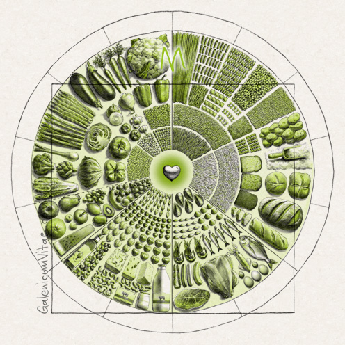 Círculo nutricional y sus causas