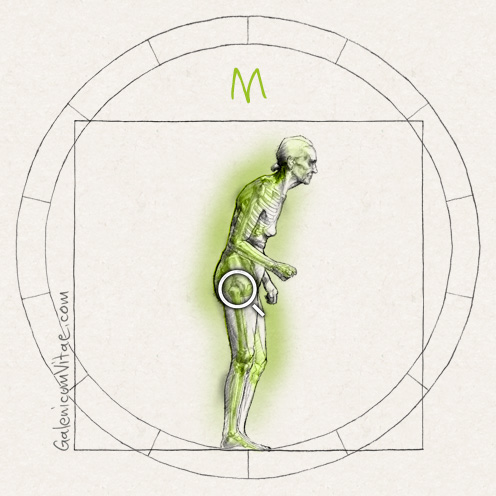 Osteoporosis y sus causas