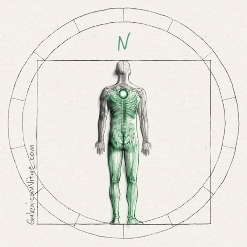 Paraplejia y sus causas