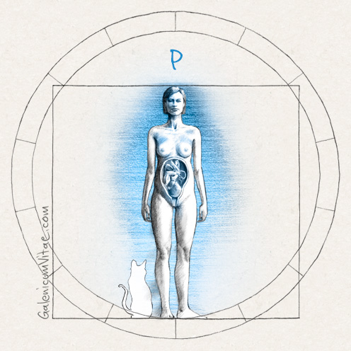 Toxoplasmosis y sus causas