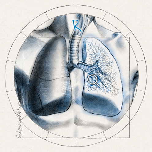 Síntomas respiratorios y sus causas