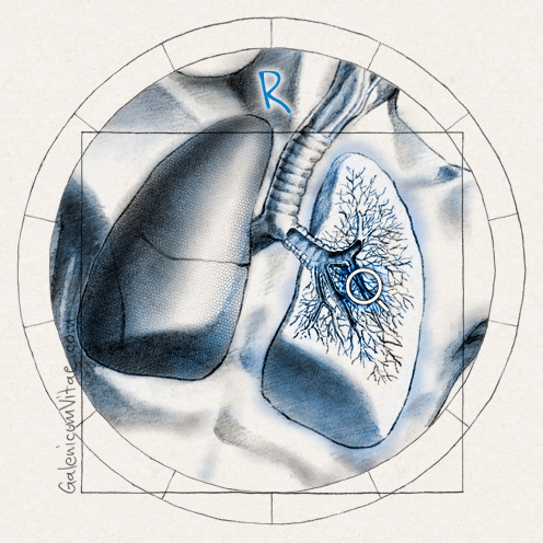 Pulmones y sus causas