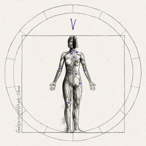 Fibromialgia y sus causas